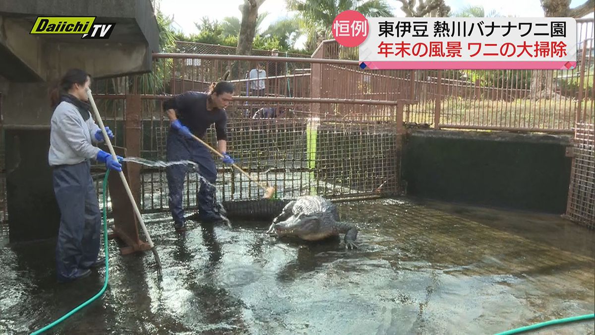 【年の瀬】「ワニ池」に「大旅籠」も…県内各地の観光施設で“大そうじ”（静岡県）