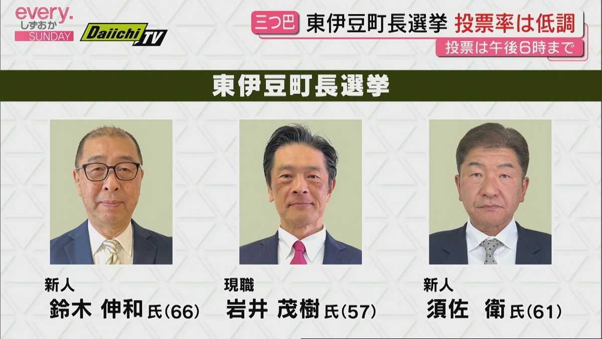 現職・新人3人の争い 東伊豆町長選挙 投票率は低調（静岡・東伊豆町 