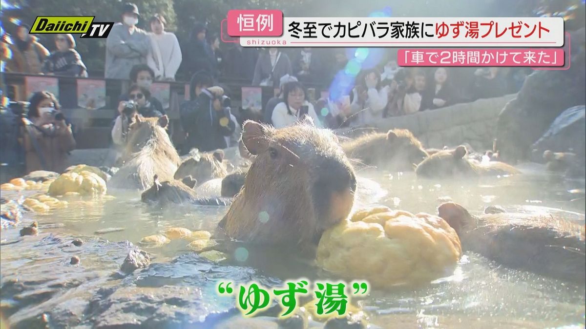 「車で2時間かけて来た！」恒例　冬至でカピバラ家族にゆず湯プレゼント【静岡・伊東市】