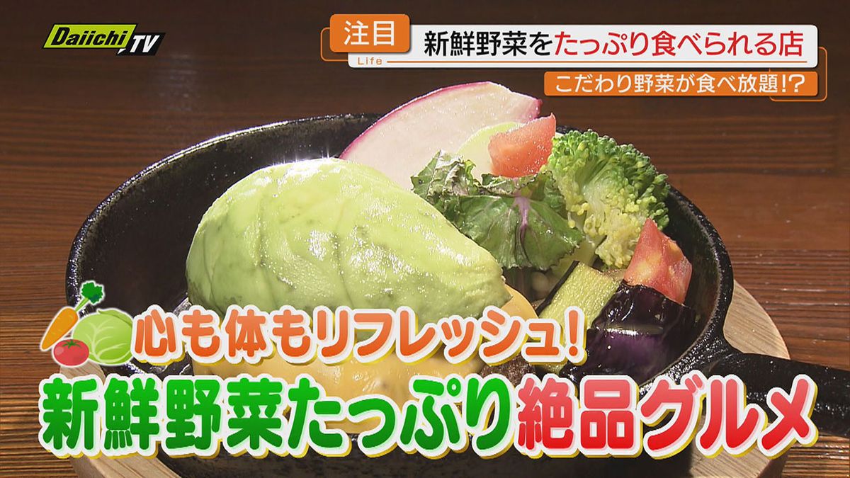 【注目】価格高騰続く中で…採れたてのおいしい野菜をたっぷりと味わえる店にフォーカス（静岡）