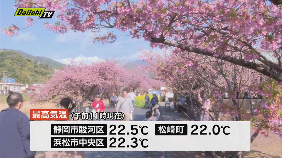 県内は広く高気圧に覆われ各地で20度を超え、5月上旬並みの陽気となる見込み。河津町ではほぼ満開の河津桜にさそわれ多くの人が会場に押しかける。