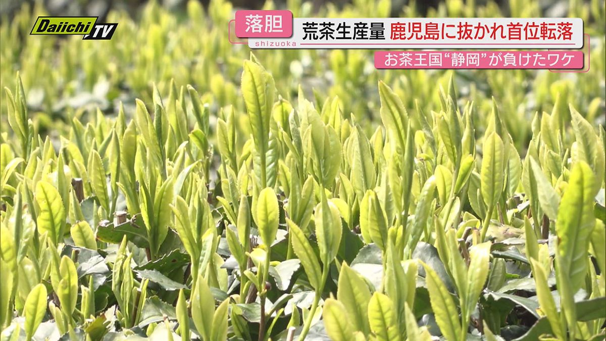 【２位に転落】｢荒茶生産量｣で鹿児島に抜かれた静岡…その要因と影響は？知事は｢１位奪還に取り組む｣