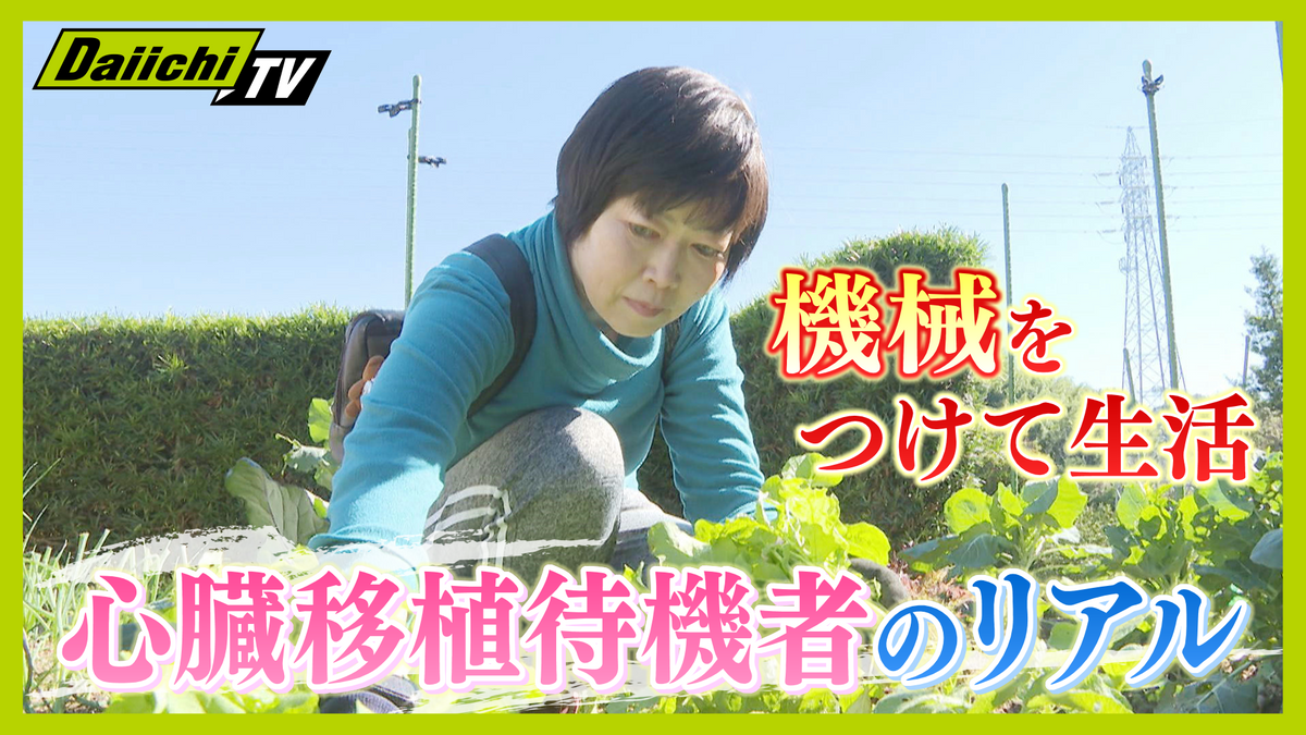 【心臓移植】「それでも生きていけるなら」“補助人工心臓”でアルバイト生活 移植を待ち5年…夢をあきらめない女性のリアルな生活 (every.しずおか特集)