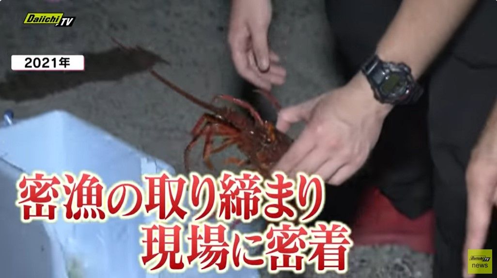 【独自密着】悪質な伊勢エビ“密漁者”を許すな! カメラが捉えた緊迫の現場とは 清水海上保安部の取り締まりに迫る【every.しずおか特集】