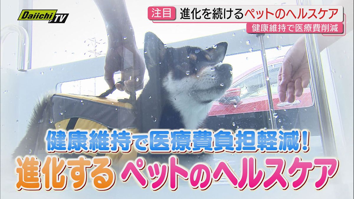 【最新】“健康維持が負担軽減”は人間同様!?トレーニング施設からサプリまで…今時ペットのヘルスケア事情(静岡)