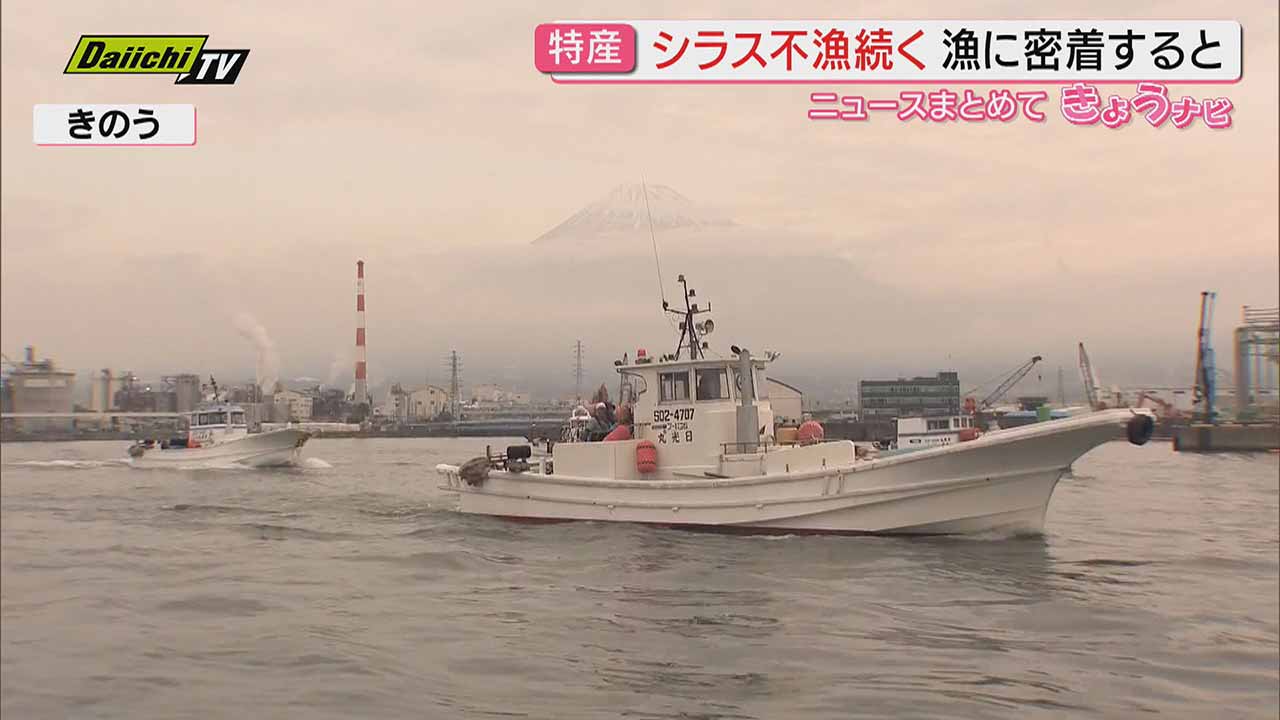 上品なファッション 特産品「シラス」の不漁続く 回復の兆し 漁船に密着し現状を取材 文化、民俗