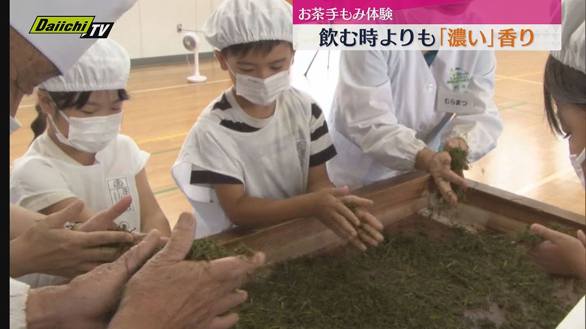 学習の一環で小学生たちがお茶の手もみ体験（静岡・島田市）