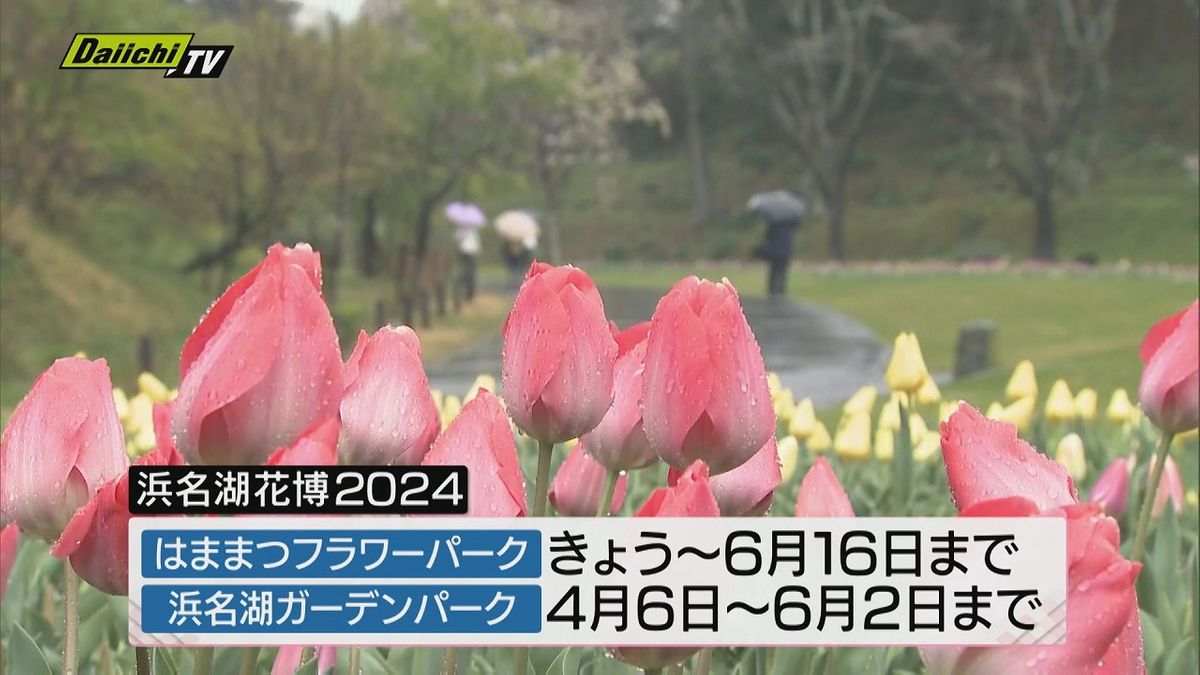 【開幕】浜松市の「はままつフラワーパーク」で「浜名湖花博2024」がスタート！多くの来場者でにぎわう