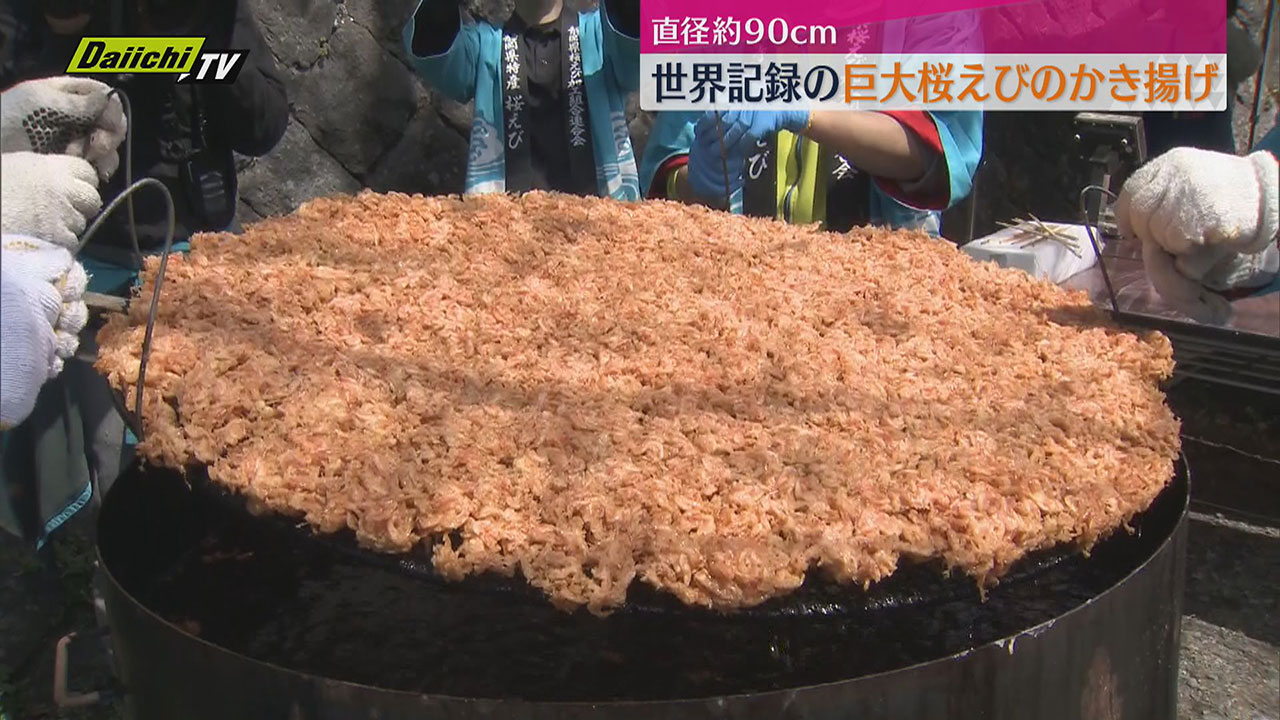90センチの巨大な桜えびのかき揚げ登場（静岡市）（2025年4月1日掲載