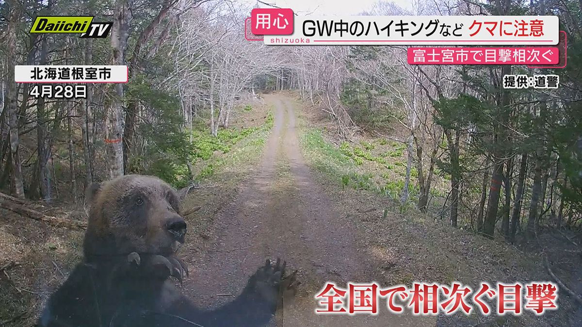 【連休も要注意】静岡・富士宮市内で今春５件目のクマ目撃情報…地元中学生から「子グマをみた」警察に通報