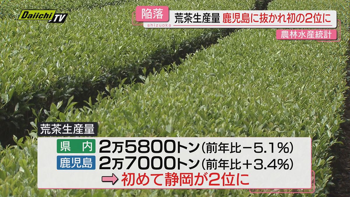 【首位陥落】荒茶生産量日本一だった静岡が鹿児島に抜かれ初の２位に…｢一番茶価格低迷｣主因か(農林水産統計)