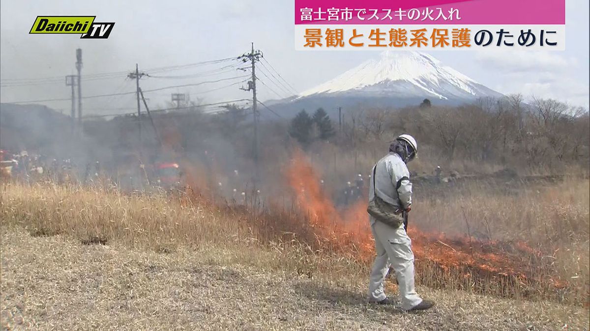 朝霧高原で環境保全策　ススキの火入れ（静岡・富士宮市）