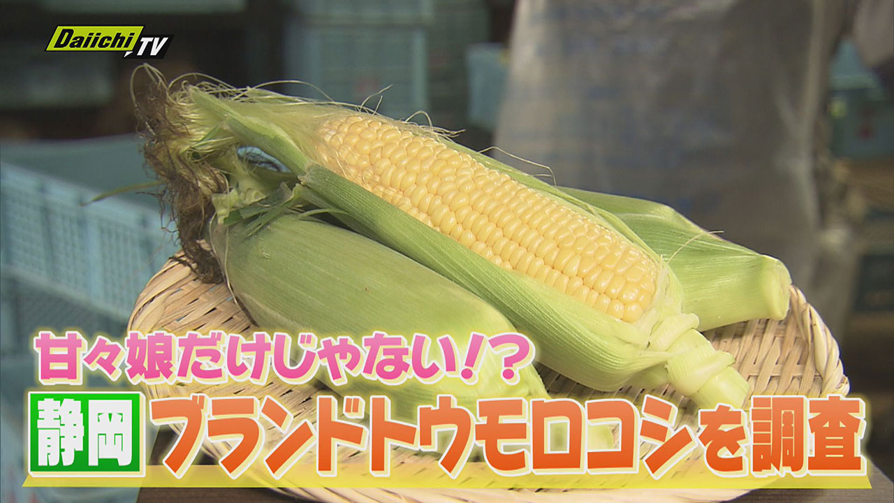 朝から行列”今や風物詩！旬を迎えたご当地｢ブランドトウモロコシ