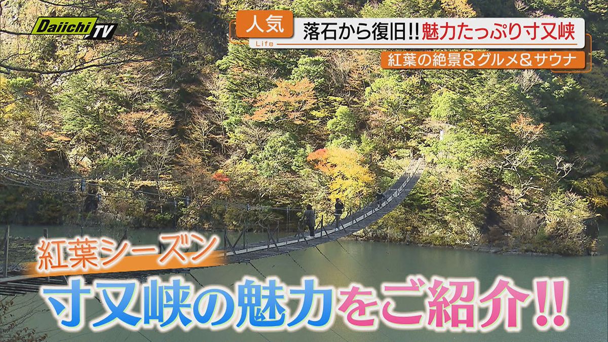 【“落石”から“復活”】絶景･グルメ･温泉！紅葉シーズン真っただ中の観光スポット｢寸又峡｣その魅力（静岡）