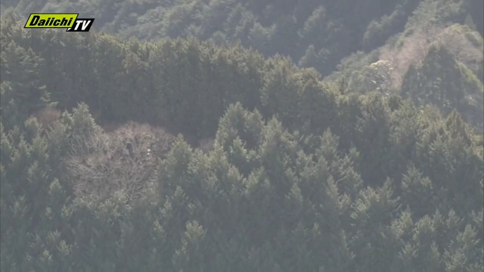 速報】藤枝市の山林火災は｢鎮圧｣ 発災7日目で市災対本部が発表…今後