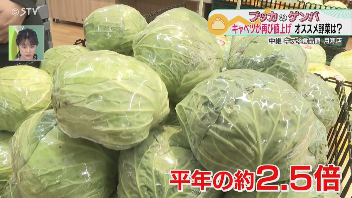 【物価のゲンバ】本州に寒波襲来でまた値上がりか？嗚呼“キャベツ”“白菜”　お勧め野菜は？