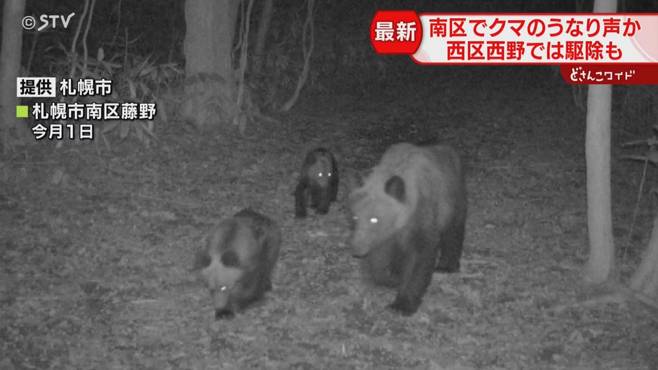 暗闇に響く獣のうなり声…「外を見たら道路を歩くクマ」西区ではメス1