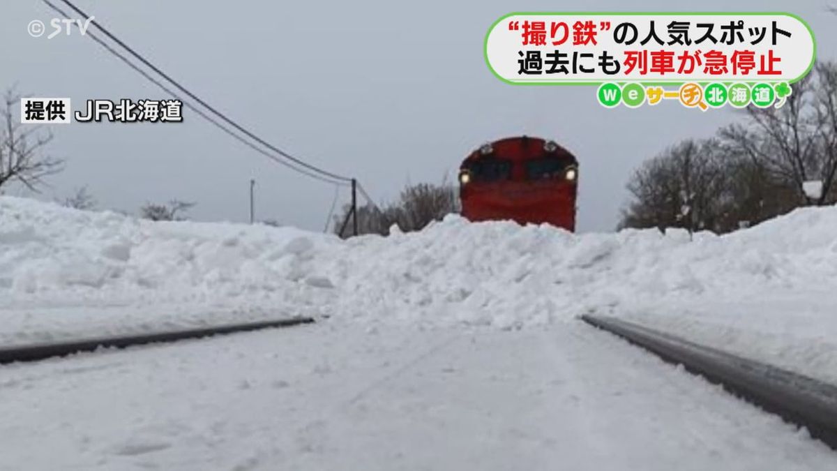 線路内に雪山