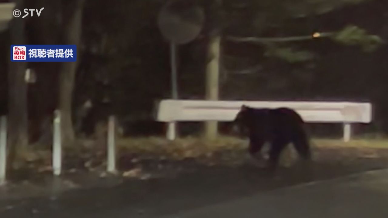 速報】体長138センチのメス1頭駆除 山の手地区に出没繰り返したクマか