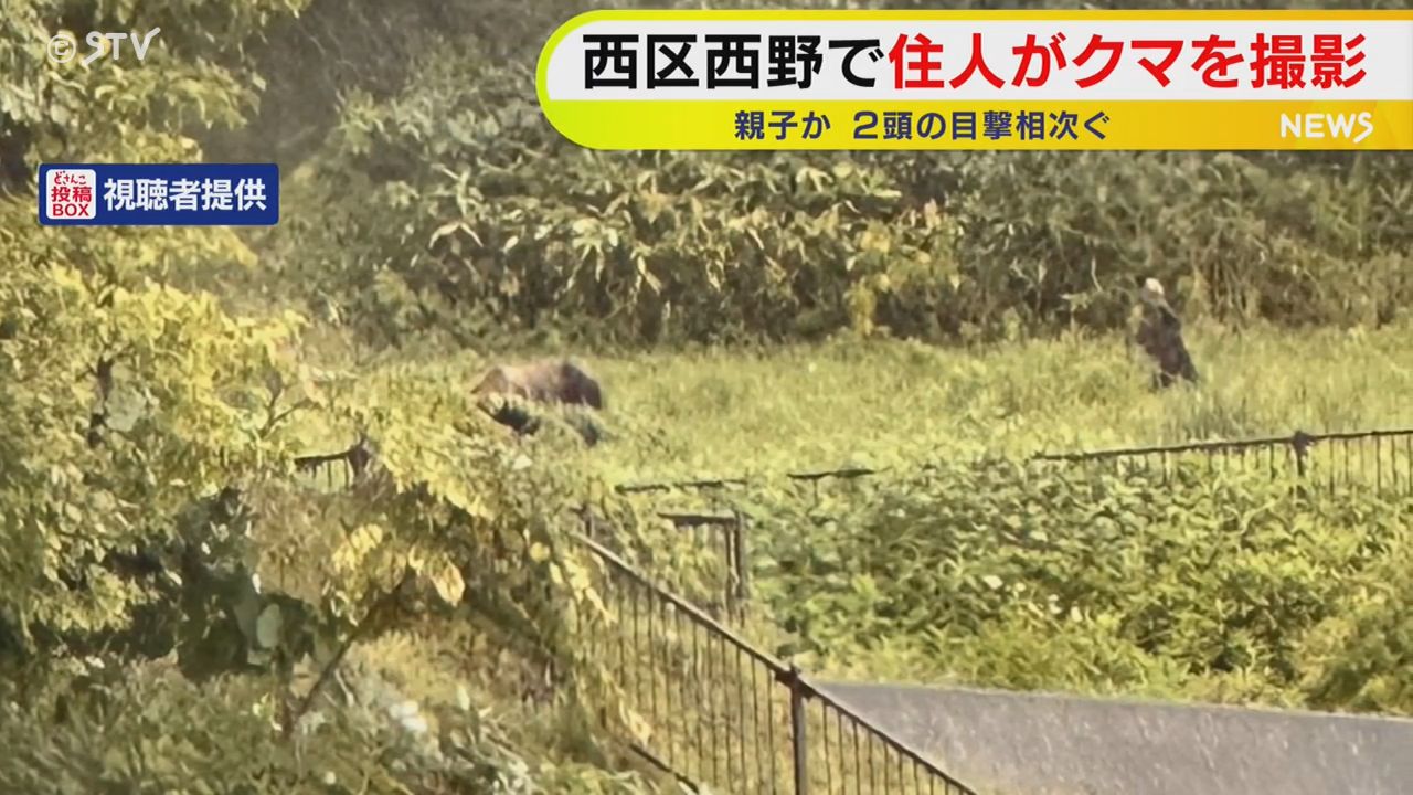 住宅から2頭のクマを撮影 連日目撃相次ぐ 足跡も発見 札幌市西区