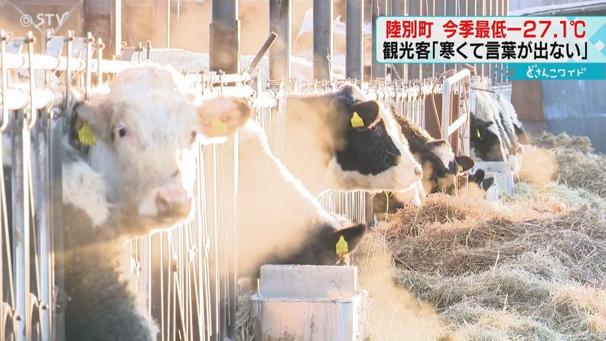 「鼻水が凍って痛い…」今季一番の冷え込み…生卵も凍る！　11日いっぱい寒さ続く　北海道