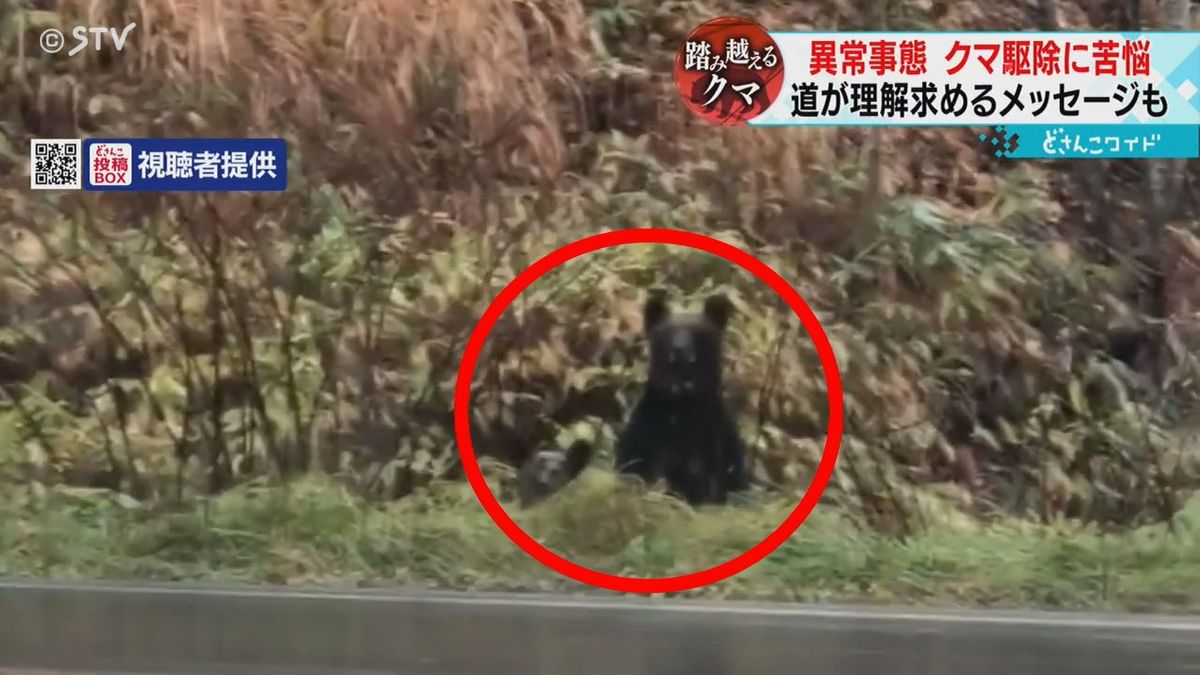 クマ駆除に苦情や批判相次ぐ　“命がけ”のハンター　人への脅威どう減らす　北海道
