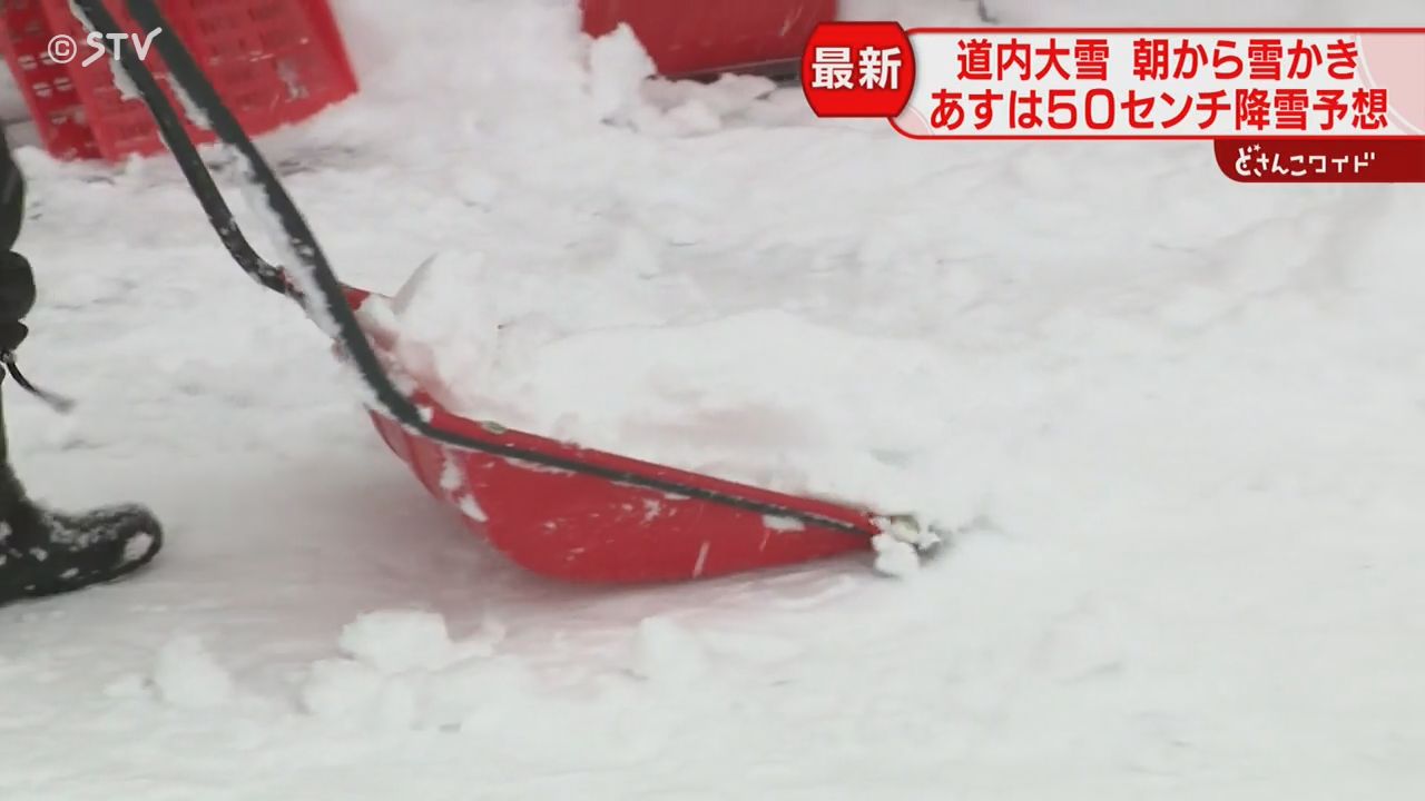 一夜で深い雪に覆われた札幌「いっぺんに降りすぎ…」新千歳で52便欠航