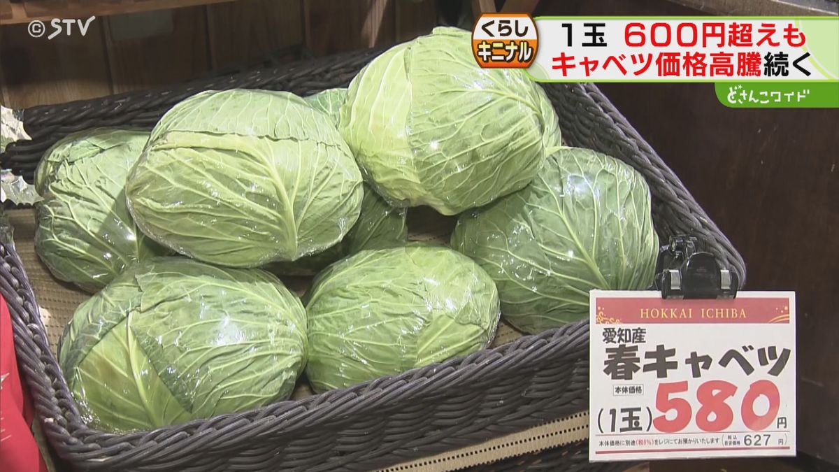 トンカツ店も悲鳴　キャベツ例年の２倍…１玉６００円超え　葉物野菜の値上がり止まらず　北海道