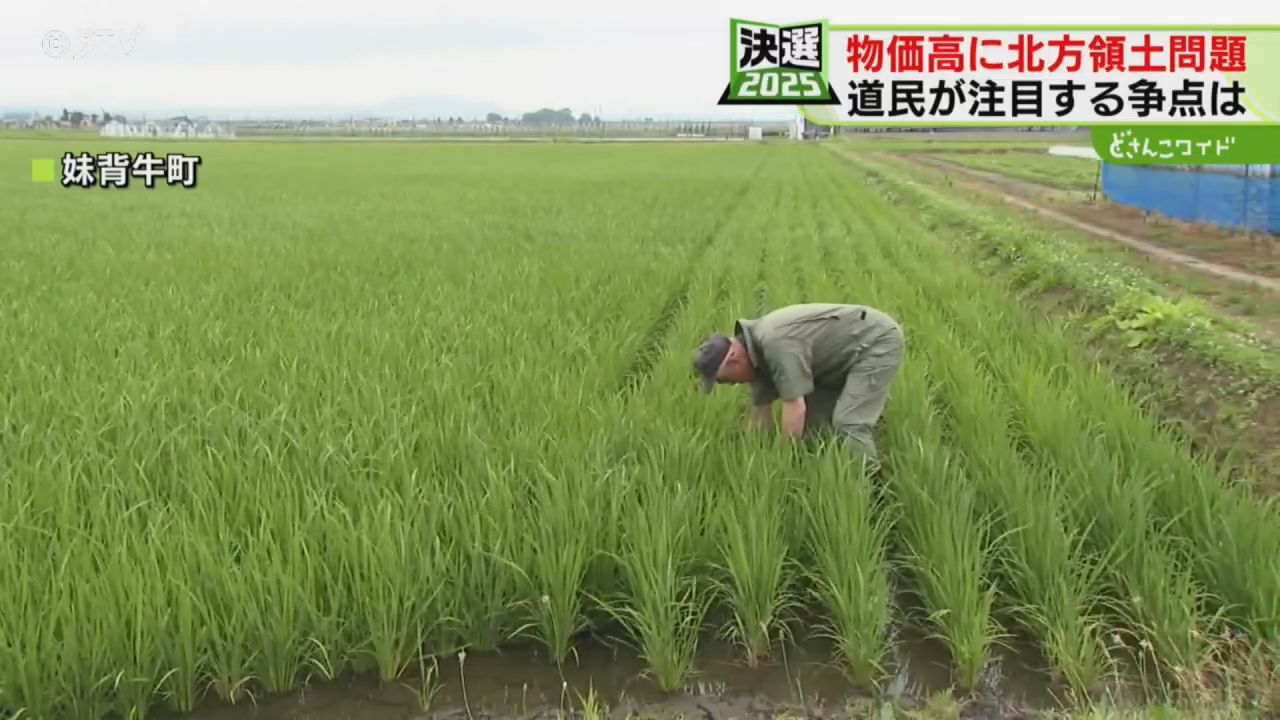 大特価 47000円 北方領土への叫び 北方領土は我が国固有の領土です〜 「一日も早い北方領土の返還実現に