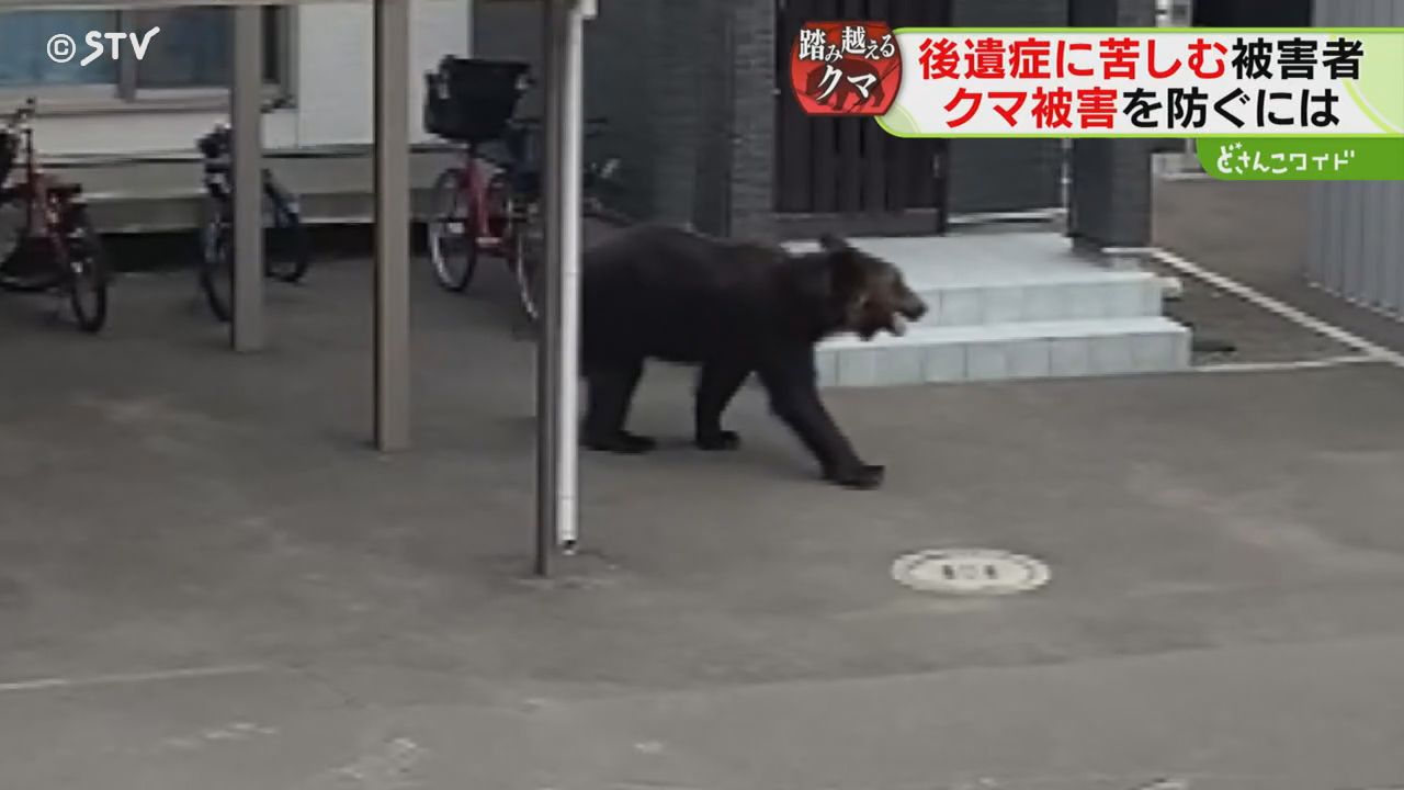 公的補償なく治療費300万円 ヒグマに襲われた男性「100針以上縫う大