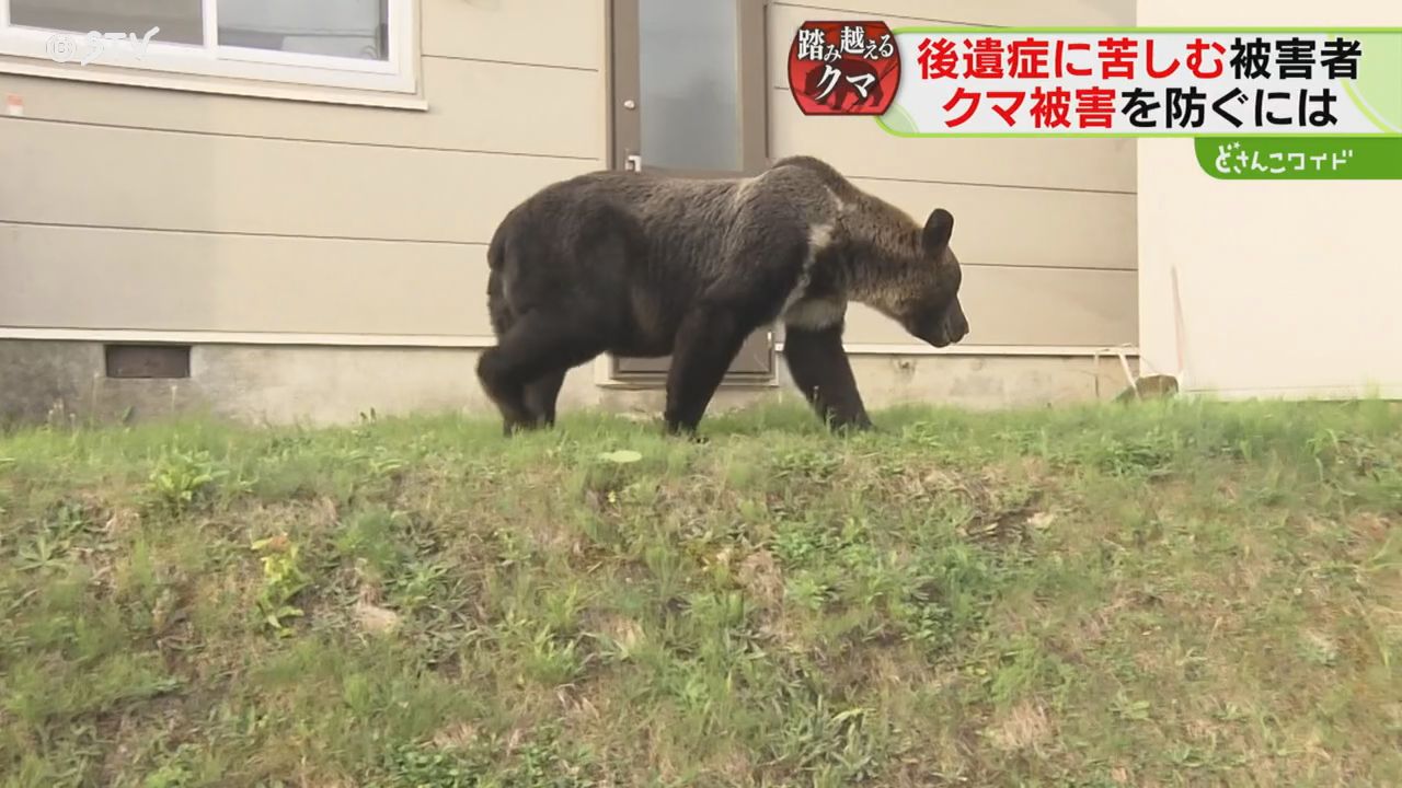 2ページ目 公的補償なく治療費300万円 ヒグマに襲われた男性「100針
