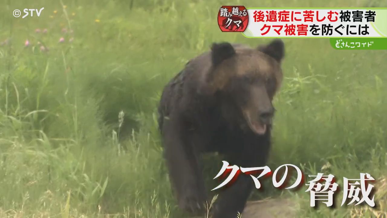 2ページ目 公的補償なく治療費300万円 ヒグマに襲われた男性「100針