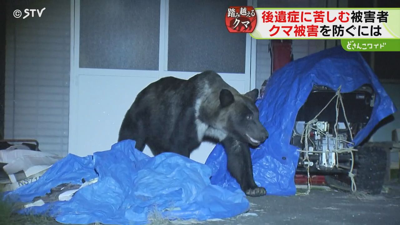 2ページ目 公的補償なく治療費300万円 ヒグマに襲われた男性「100針