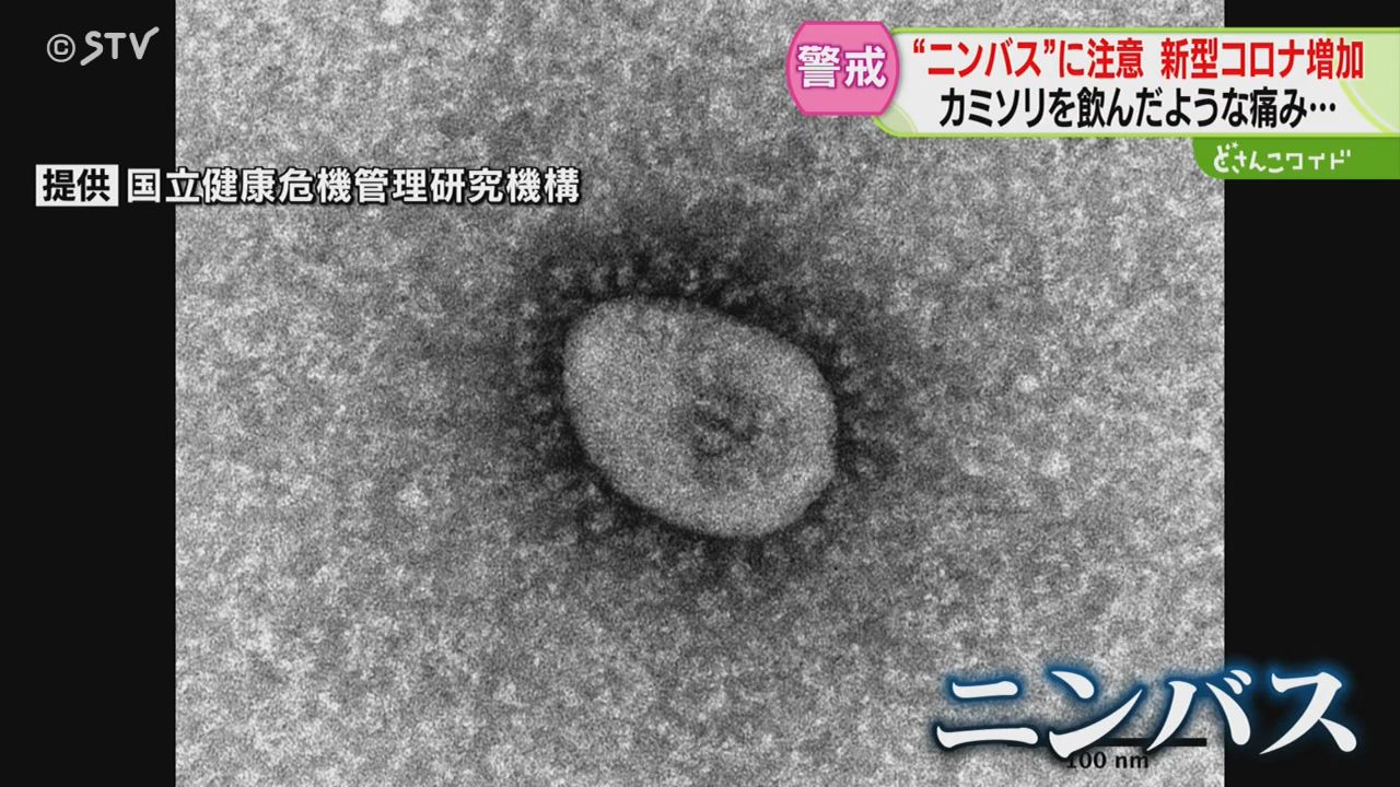 カミソリを飲んだような痛み…新型コロナ「ニンバス」に注意 感染 カミソリを飲んだような痛み…新型コロナ「ニンバス」に注意 感染