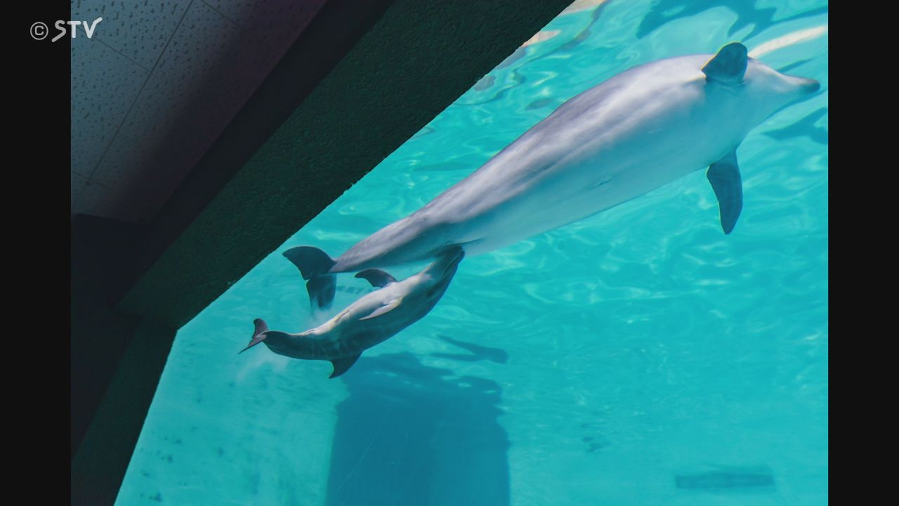 DSC06154-1.jpg?fit=1080,720&ssl=1