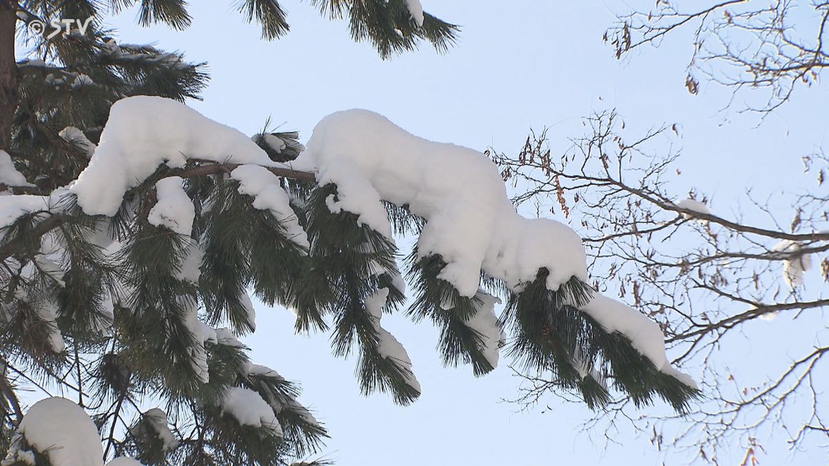 札幌の積雪が平年を超える見通し　北海道はあすにかけ大雪を予想　停電や落雪に注意