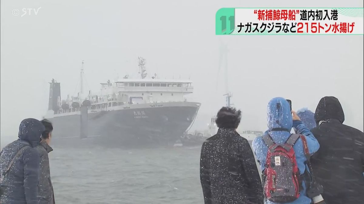 北海道でナガスクジラのお肉が出回る！「関鯨丸」操業終えきょう石狩に入港！吉岡記者レポート