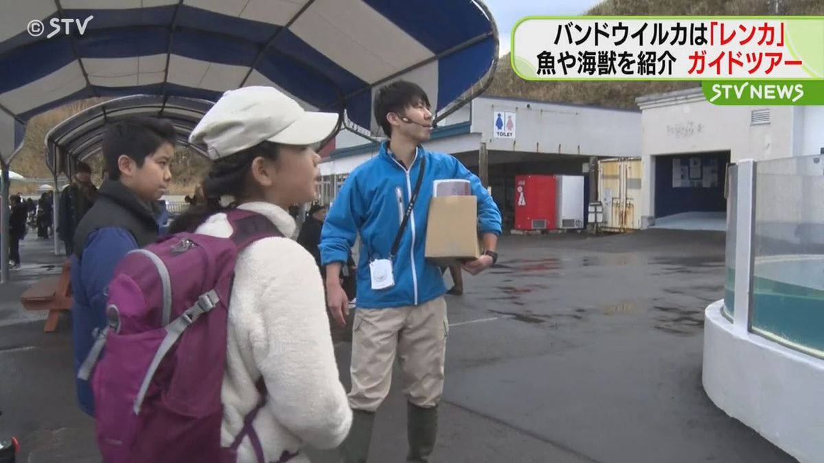 バンドウイルカは「レンカ」に決まり！　おたる水族館でイベント満載　