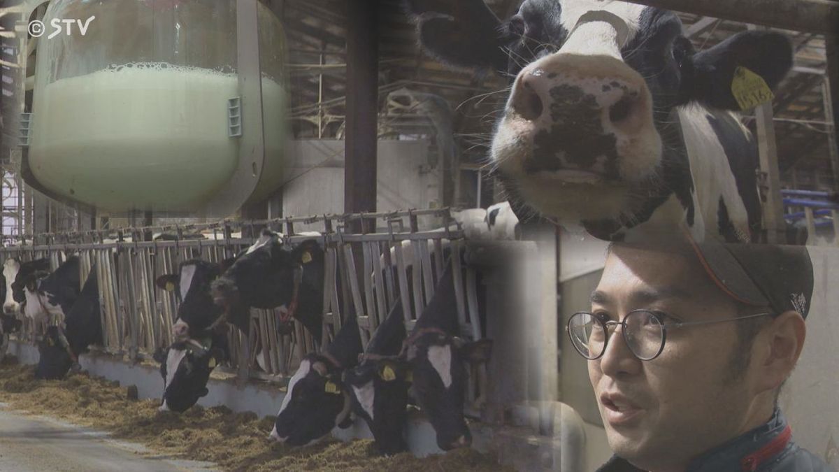 「搾れるけど搾れない」借金返済にエサ代高騰　生産抑制が追い打ち　三重苦の酪農家　北海道