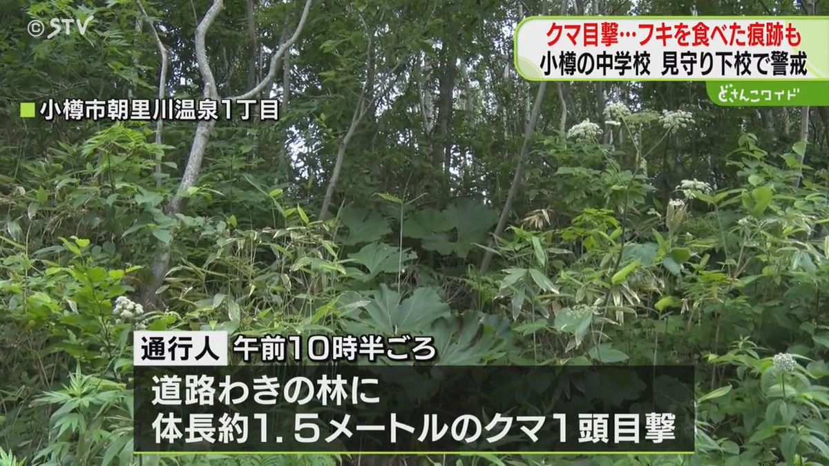 ５月から目撃情報３件…小樽市朝里川温泉でクマ　フキ食べた跡　付近の中学校では警戒・緊張　