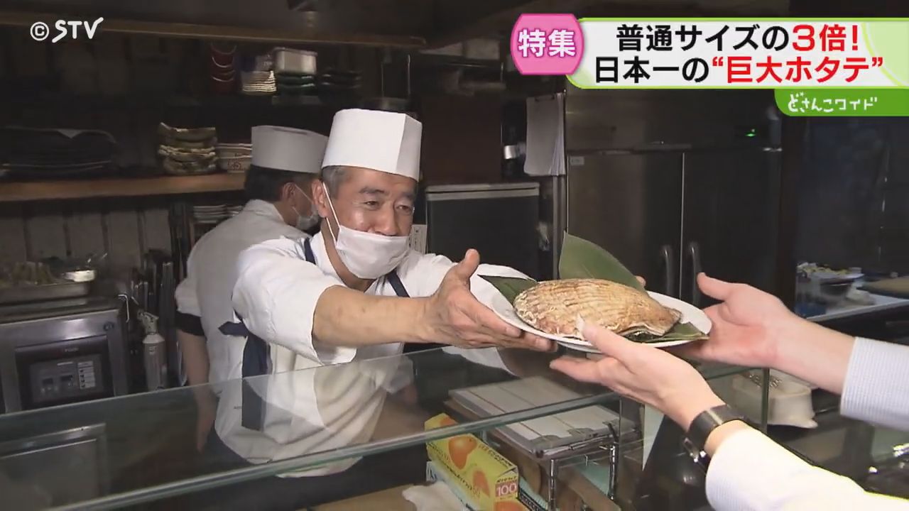 日本一”大きなホタテ！ 顔も隠れる超特大サイズ 別海町の海が育んだ