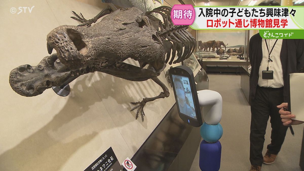 「外に出た気分」ド迫力の恐竜を鑑賞　入院中の子どもが「アバターロボット」操作　北海道大学