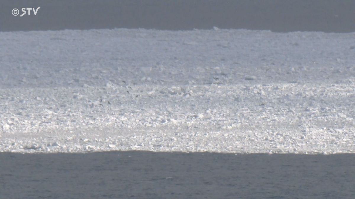 「一番しばれた」海にけあらし　厳しい冷え込みの北海道　紋別市が「流氷初日」を発表