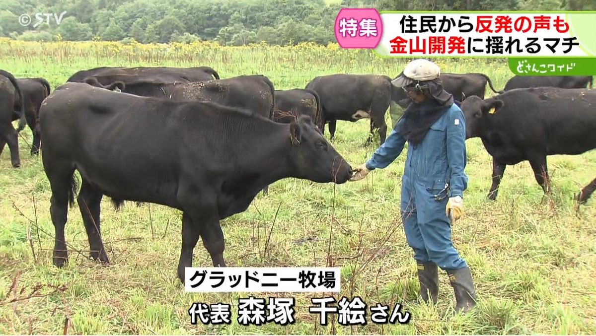 グラッドニー牧場（北海道黒松内町）