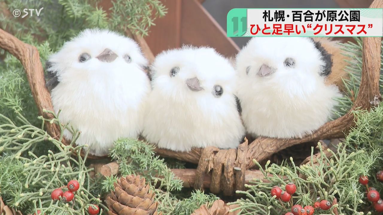 シマエナガ　クリスマス　ミニミニリース シマエナガ クリスマス ミニミニリース シマエナガのクリスマスリース