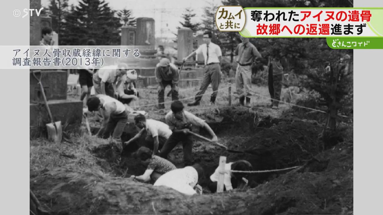 新作からSALEアイテム等お得な商品満載】 南極探檢犬橇隊 : 二人の
