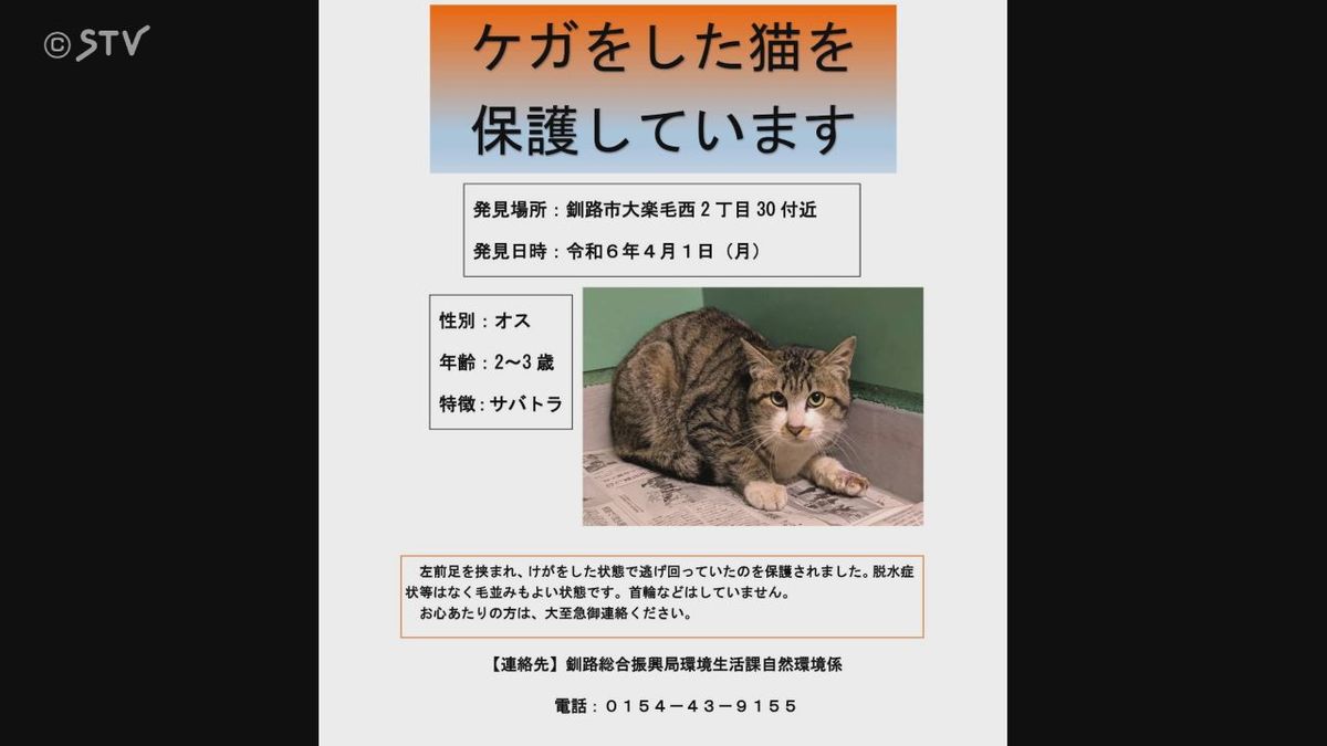 飼い主などの情報提供を呼びかけ