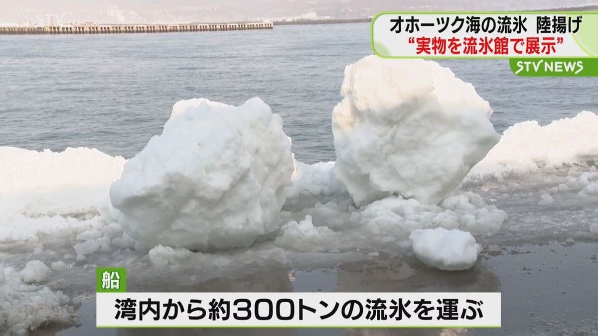 オホーツク海の流氷を陸揚げ　オホーツク流氷館で展示へ　館内で実物の流氷を間近に楽しめる