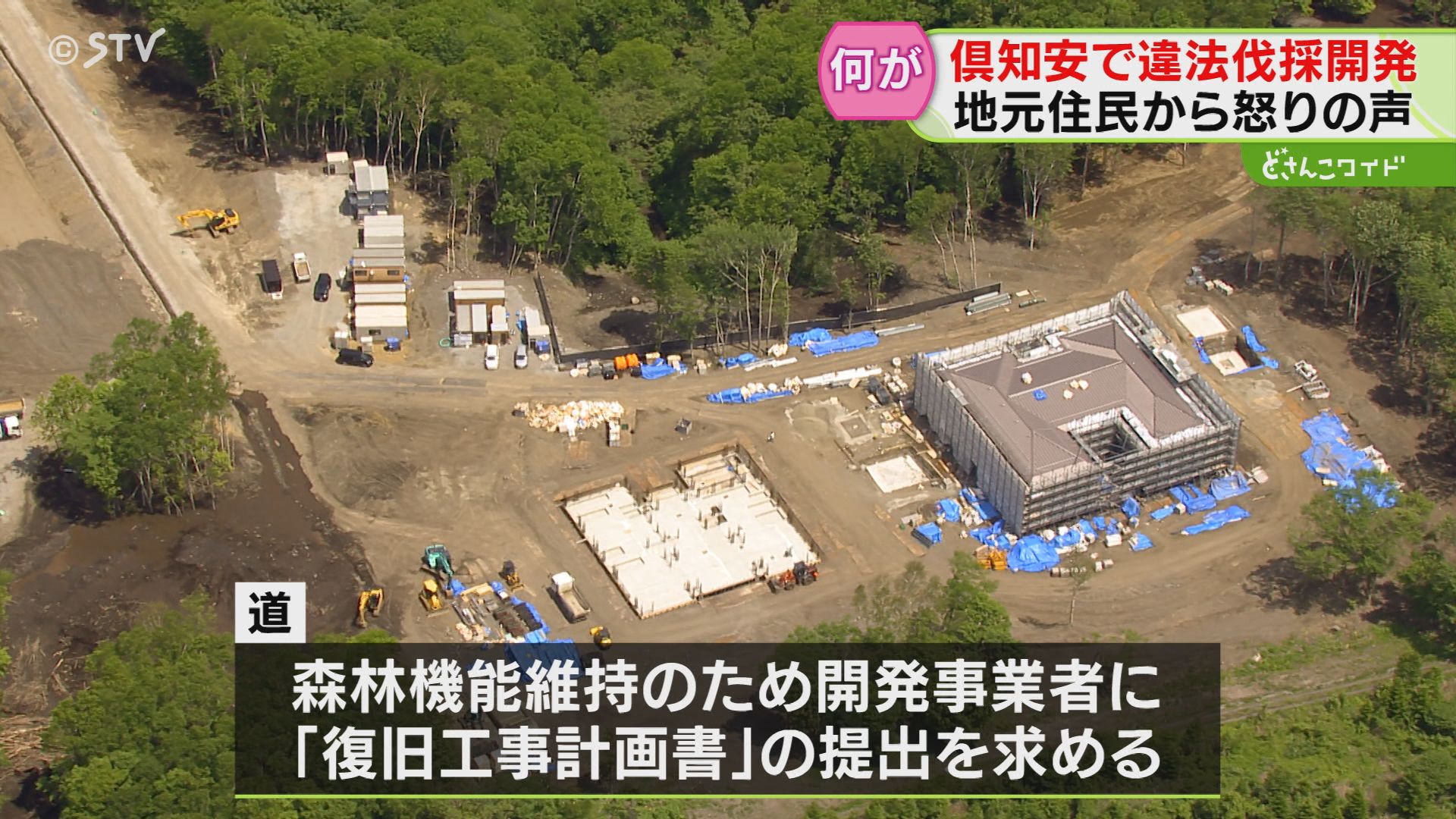 森の伐採。直径2メートル以下約70万円現金あげます。 速報・追記あり】「木の伐採中、20mくらいの高さでワイヤーに人が