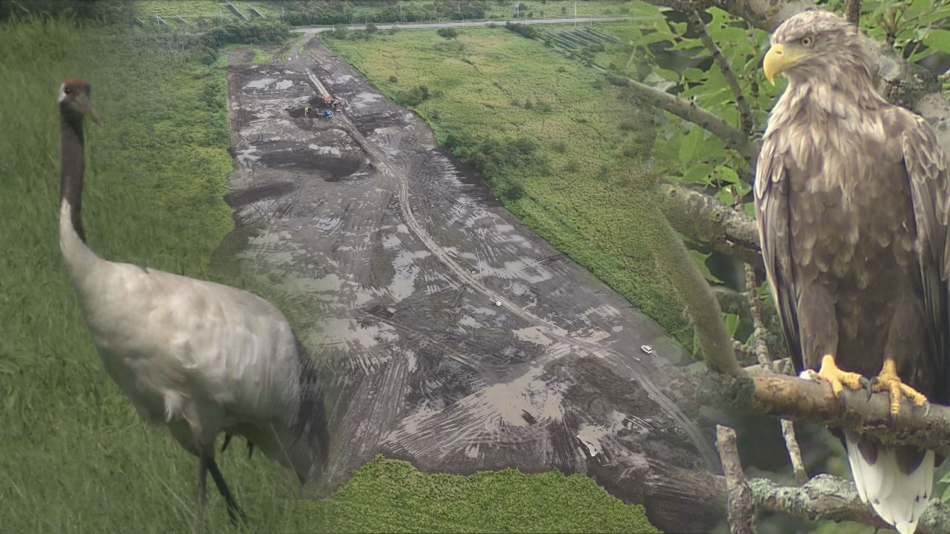 再エネ促進か、自然保護か… 法整備が追い付いていない現状 転換期の